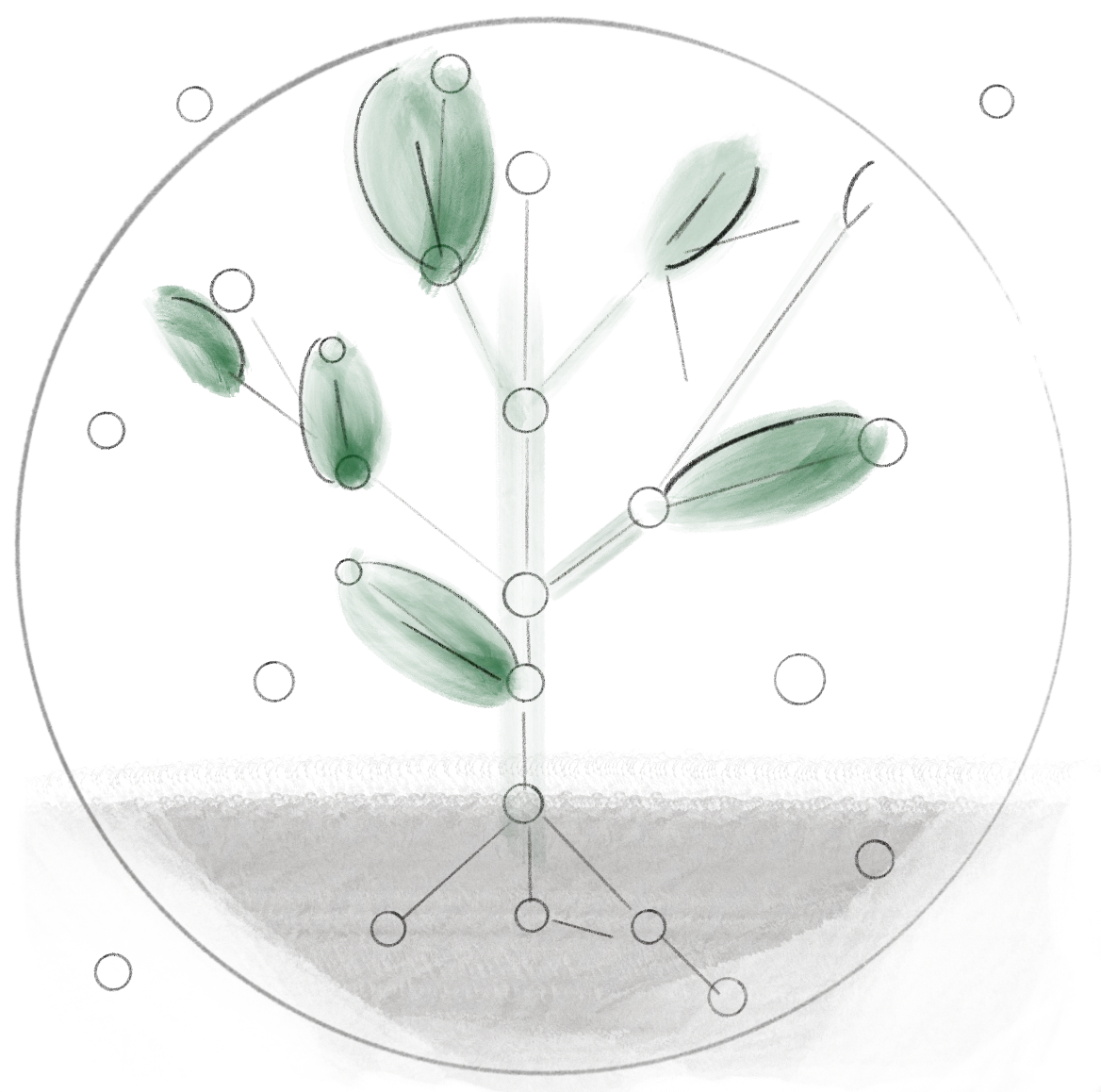 A garden representing past work as living present experience